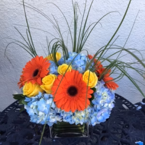 Burst of Color Too