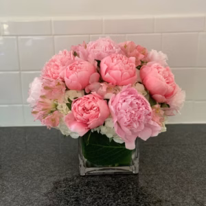 Flying Point's Designer's Choice with Pastel Tones