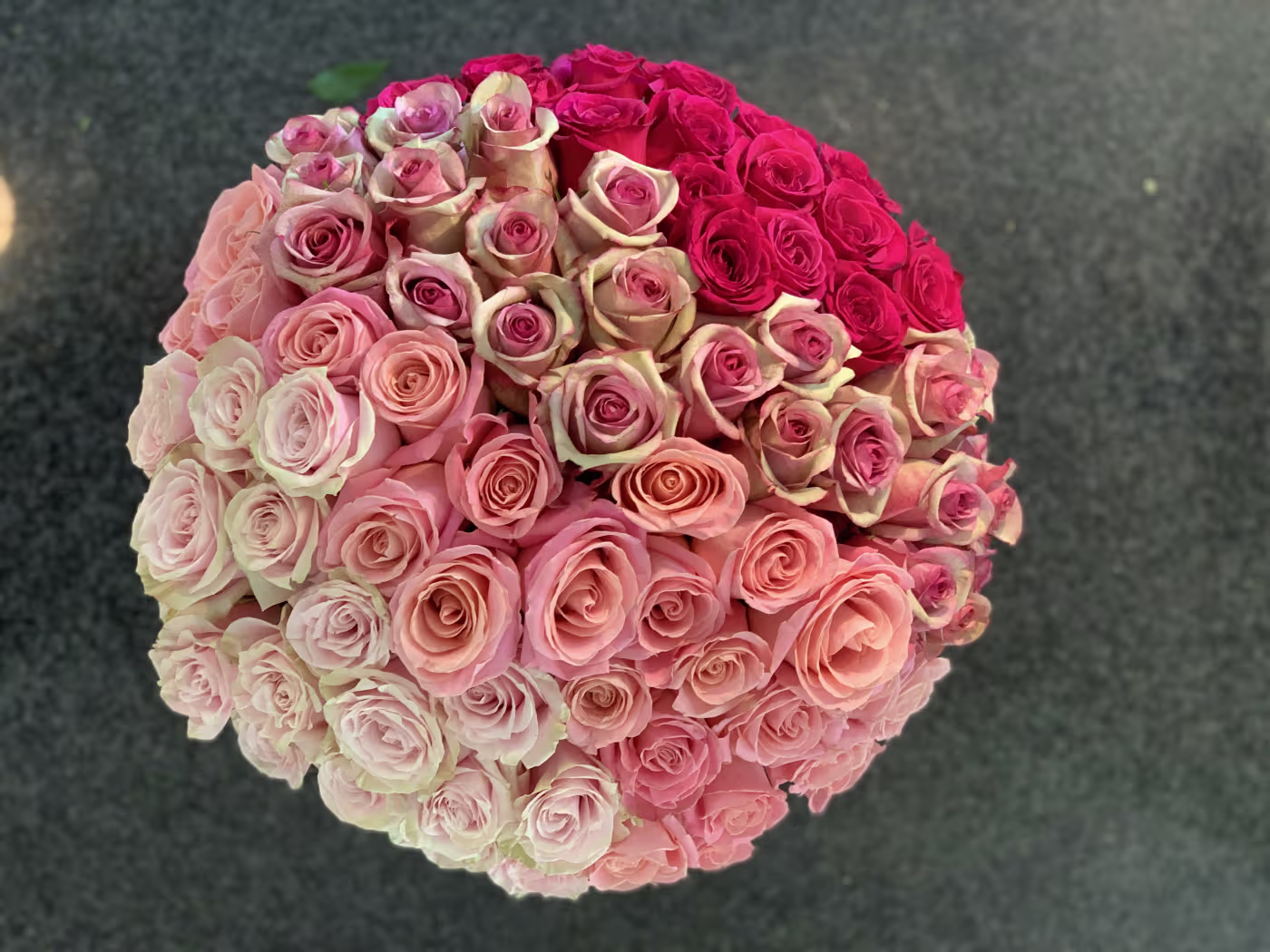 Garden of Roses off Gin Lane - Image 3