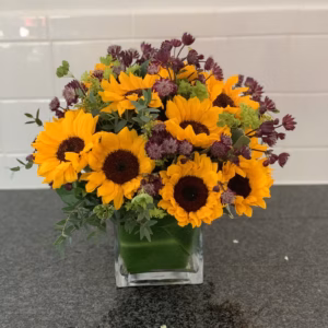 Water Mills Sunflowers feilds